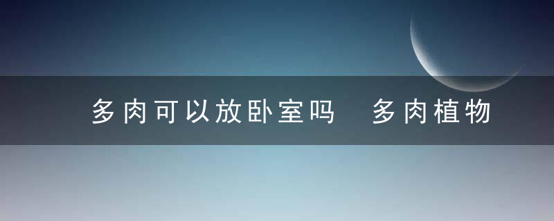 多肉可以放卧室吗 多肉植物可以放在卧室里面养吗